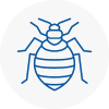Bed Bug Extermination In Thelwall