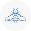 Bee Nest Removal Thelwall