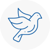 Bird Prevention Thelwall