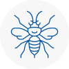 Thelwall Hornet Nest Removals