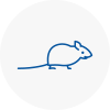 Mice Exterminators In Thelwall