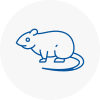Rat Control Thelwall