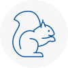 Thelwall Rodent Removals